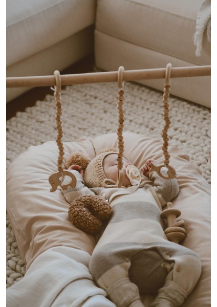 Latte Babynest + Gym