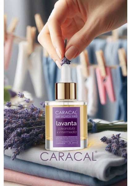 Doğal Lavanta Uçucu Yağı Saf Lavanta Yağı 30ml