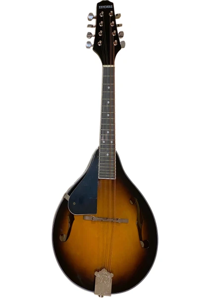 Mandolin