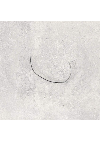 1K0609721BE El Fren Teli 1445 Mm Disk SOL & SAĞ - Golf-Jetta-Octavıa-Leon-Toledo-A3