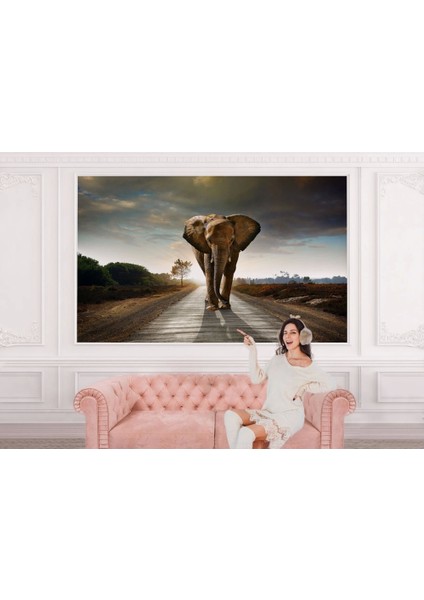 Yürüyen Fil Duvar Kağıdı - Posterı-3959