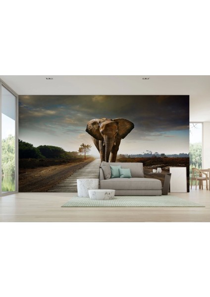 Yürüyen Fil Duvar Kağıdı - Posterı-3959