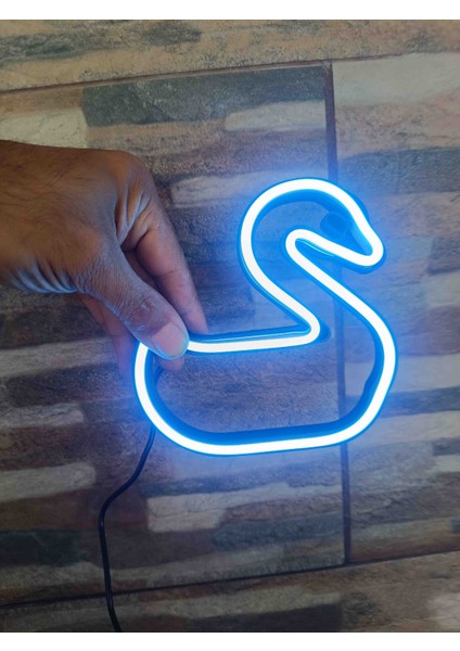 Neon LED Işıklı Ördek