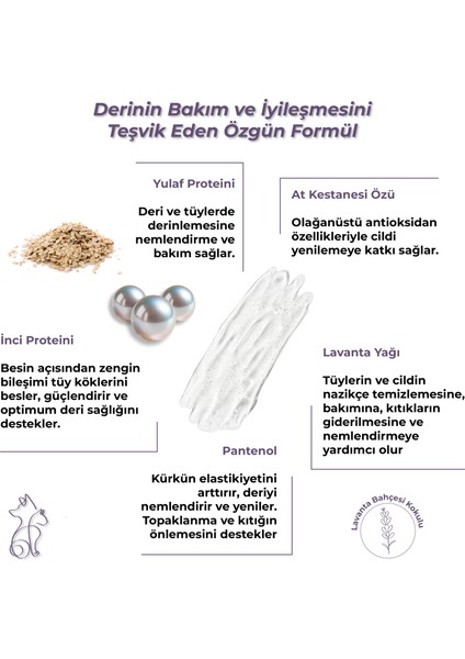 Kahu Naturals All-In-One Şampuan Nemlendirici, Inci ve Yulaf Proteini, At Kestanesi, Pantenol, %100 Doğal, 400 ml