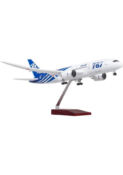 787 Yolcu Uçağı B787 Model Uçak 1/130 Ölçek 43CM