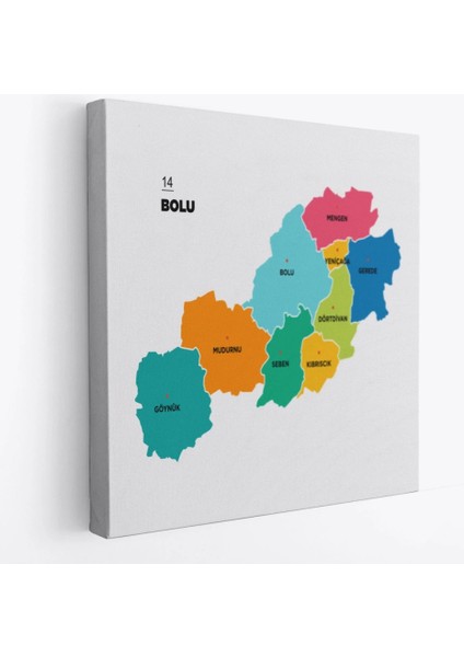 Bolu Ili ve Ilçeler Haritası Dekoratif Kanvas Tablo 1300 fiyatları