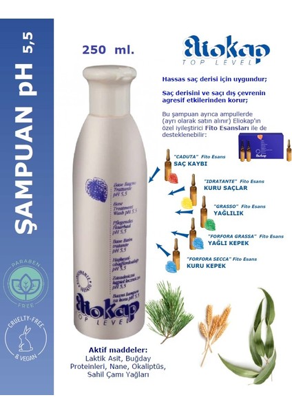 Forfora Secca - Kuru Kepek Karşıtı Saç Bakım Seti: Şampuan 250 Ml. ve Saç Serumu 6 Amp. x 4 Ml.