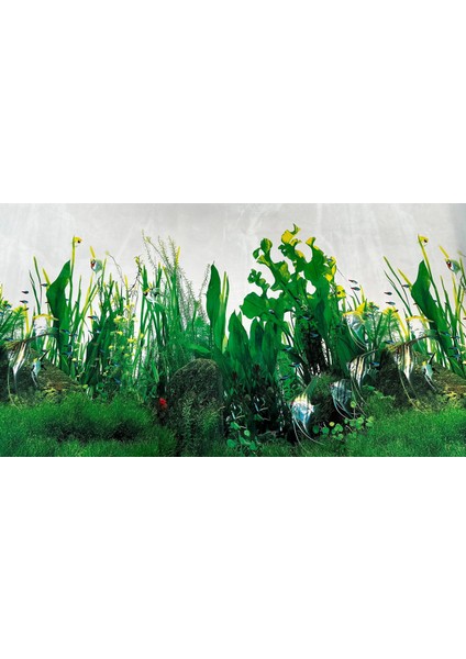 Arka Fon Bitkili Akvaryum 50 cm Uzunluk Yükseklik 60 cm No : 9038