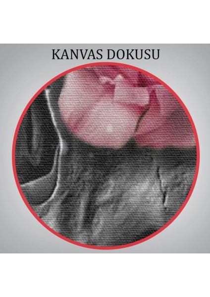 Iskelet Kafa ve Pembe Çiçekler Kanvas Tablo Duvar SANATI-5234