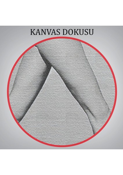 Çıplak Sörfçü Kadın Kanvas TABLO-5240