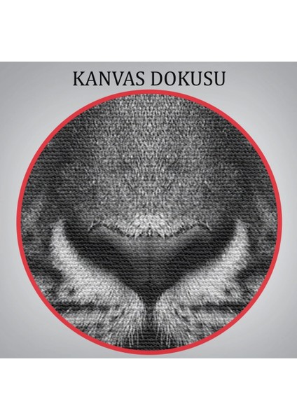Kaplan Dekoratif Kanvas TABLO-5808