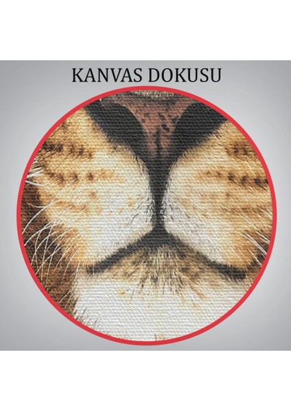 Aslan Dekoratif Kanvas TABLO-5966