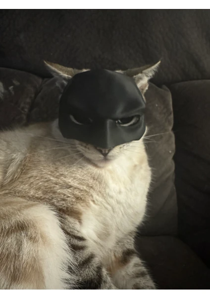 Kedi Batman Maskesi Kıyafeti