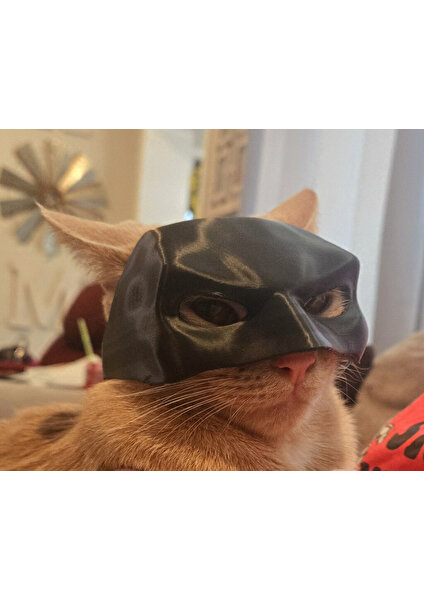 Kedi Batman Maskesi Kıyafeti