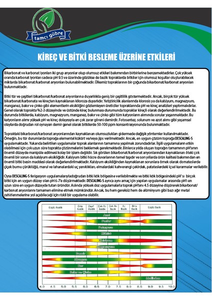 Tamcı - Descaling-S | 1LT PH Düzenleyici