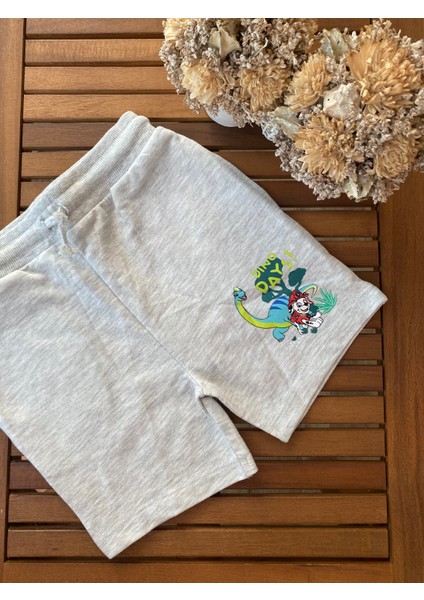 Babyaden Desenli Cepli Sweat Dokuma Gri Erkek Çocuk Bebek Şort