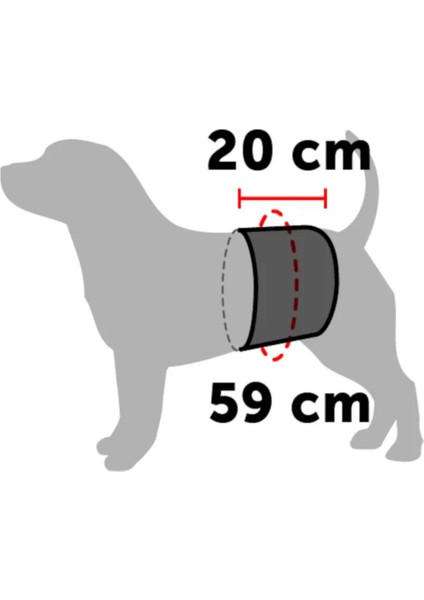 Erkek Köpek Idrar ve Eşleşme Koruma Bandı Medium fiyatları