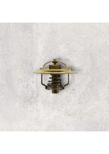 11409509074 Termostat 74C Wahler Typ. - Favorıt-Felıcıa