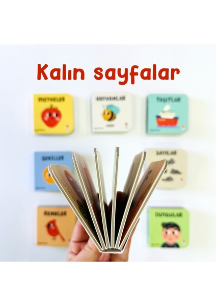 Bilgi Dolu Minik Kütüphanem (8 Kitap) - Çağrı Odabaşı