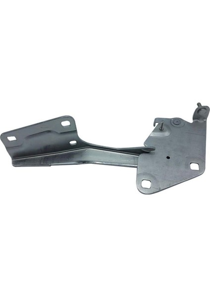 Motor Kaput Menteşesi Sağ Fluence 09 12