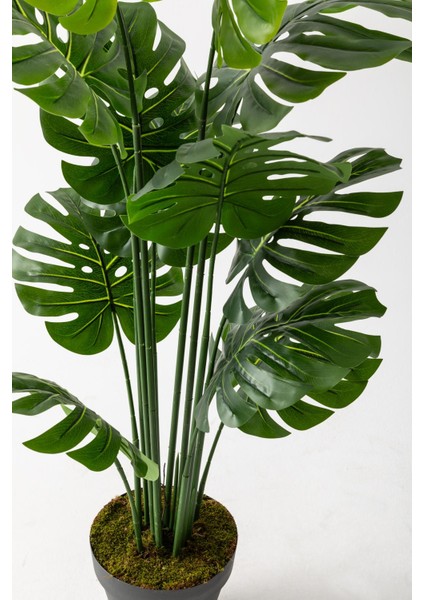 Yapay Deve TABANI(MONSTERA)130 cm