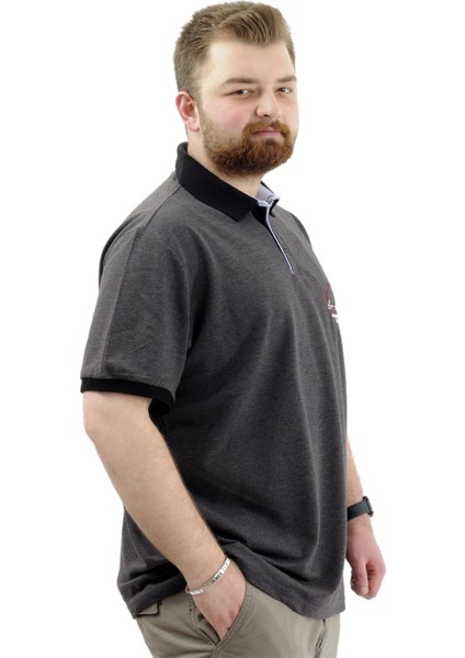 Büyük Beden Erkek Tişört Polo Yaka Nakışlı Los Angeles U24331 Antrasit modelleri