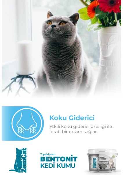Aktif Karbonlu Kedi Kumu Ince Taneli Doğal Bentonit 10 Lt