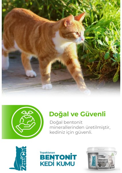 Aktif Karbonlu Kedi Kumu Ince Taneli Doğal Bentonit 10 Lt