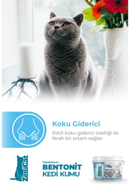 Marsilya Sabunu Kokulu Renkli Kedi Kumu Ince Taneli Doğal Bentonit 18 Lt modelleri