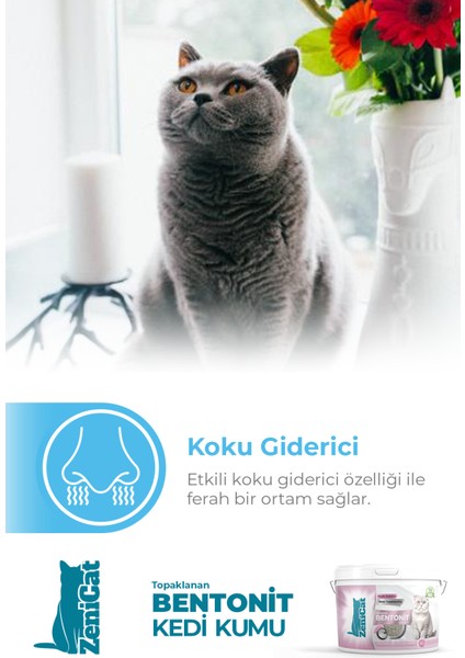 Bebek Pudrası Kokulu Renkli Kedi Kumu Ince Taneli Doğal Bentonit 5 Lt modelleri