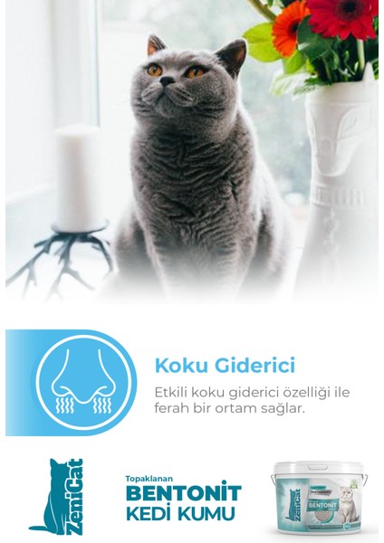 Kedi Kumu Ince Taneli Kokusuz Doğal Bentonit 10 Lt