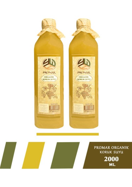 Koruk Suyu Ekşisi 2x 1 Lt