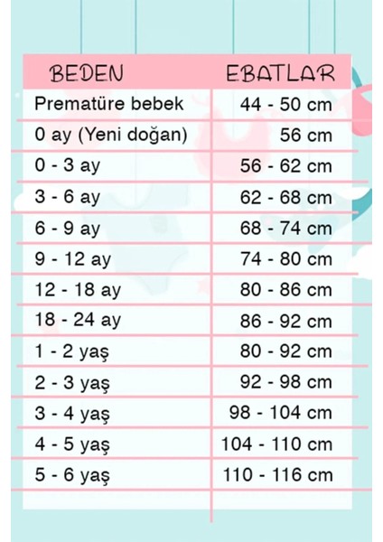 Aslan Desenli 2'li Pamuk Erkek Bebek Takımı