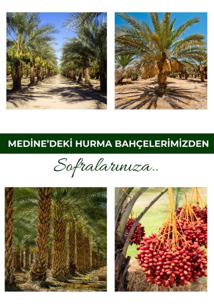 Medine Mebrum Lüks 2,5 kg Besleyici ve Safavi Lüks 2,5 kg Kalsiyum Deposu Yeni Mahsul Ikili Set 5 kg