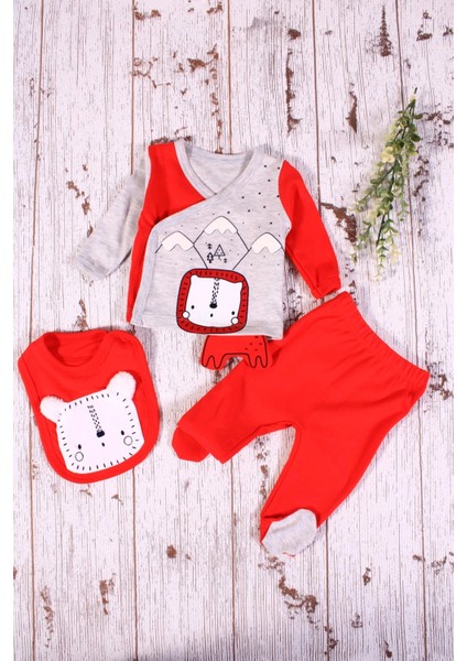 Aslan Figürlü 3'lü Erkek Hastane Çıkışı