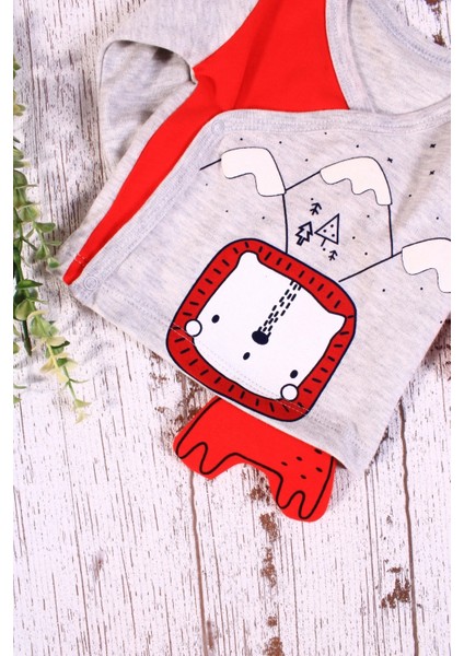 Aslan Figürlü 3'lü Erkek Hastane Çıkışı fiyatları