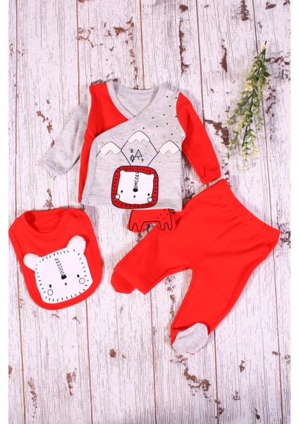 Aslan Figürlü 3'lü Erkek Hastane Çıkışı modelleri