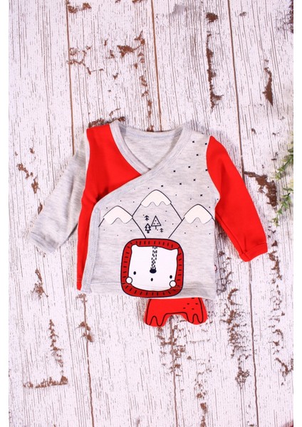 Aslan Figürlü 3'lü Erkek Hastane Çıkışı fırsatları