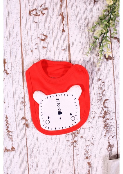 Aslan Figürlü 3'lü Erkek Hastane Çıkışı indirimleri