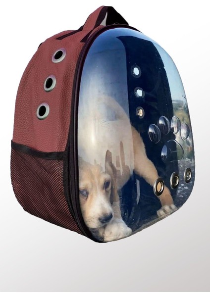 Deri Astronot Kedi ve Köpek Taşıma Çantası