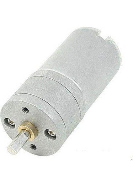 25mm 12V 100RPM Redüktörlü DC Motor