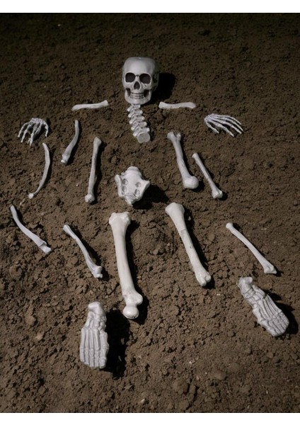 Cadılar Bayramı Iskelet Parçaları Halloween Parti Dekoru 19'lu modelleri