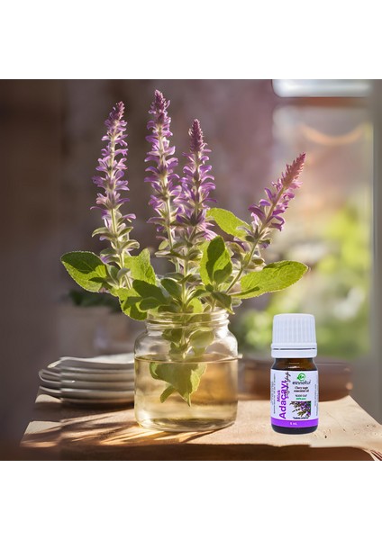 Misk Adaçayı Uçucu Yağı, 5 ml, %100 saf, Salvia sclarea essential oil
