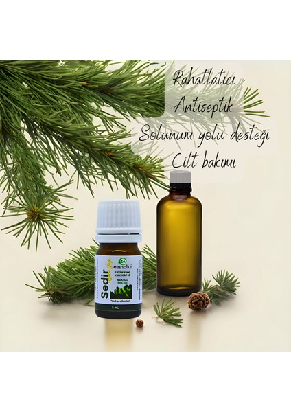 Sedir Uçucu Yağı, 5 ml, %100 saf, Cedrus atlantica essential oil modelleri