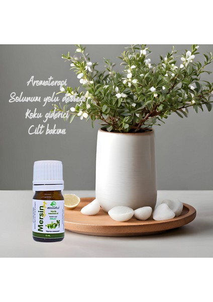 Mersin (Myrtus Communis) Uçucu Yağı, 5 ml, %100 saf modelleri
