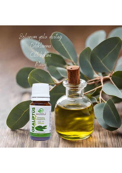 Einnatur %100 Saf Okaliptüs Uçucu Yağı, 10 Ml, Eucalyptus Globulus Oil, Yüksek Oranda 1,8-sineol Içerir fırsatları