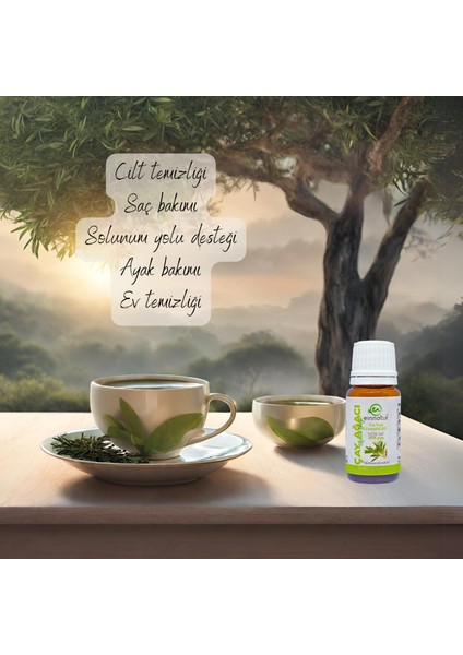 Ein Natur %100 Saf Çayağacı Uçucu Yağı 10 Ml, Tea Tree Essential Oil, Melaleuca Alternifolia