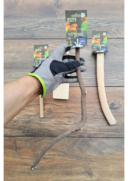 Venty 4'lü Doğal Papağan Tünek Seti - Pedikür Tünek | Muhabbet | Forpus | Sevda | Cennet | M261 modelleri