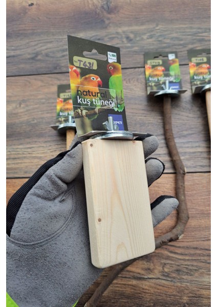 Venty 4'lü Doğal Papağan Tünek Seti - Pedikür Tünek | Muhabbet | Forpus | Sevda | Cennet | M261 fırsatları