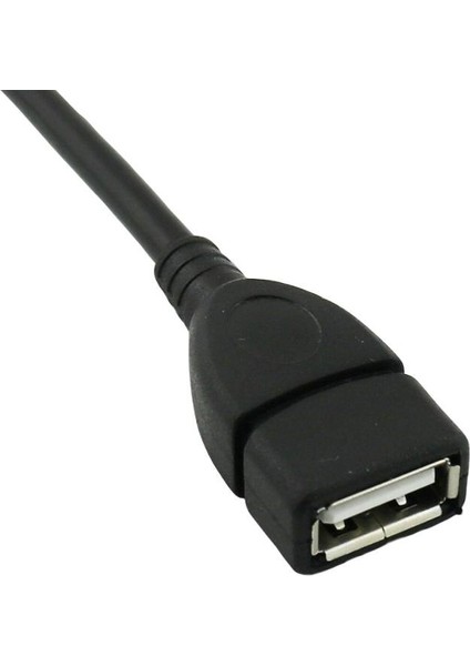 1x USB 2.0 A Dişi Dupont 5 Pin Dişi Jack Başlık Anakart Bağlantı Kablosu 50CM/1.5FT (Yurt Dışından) indirimleri